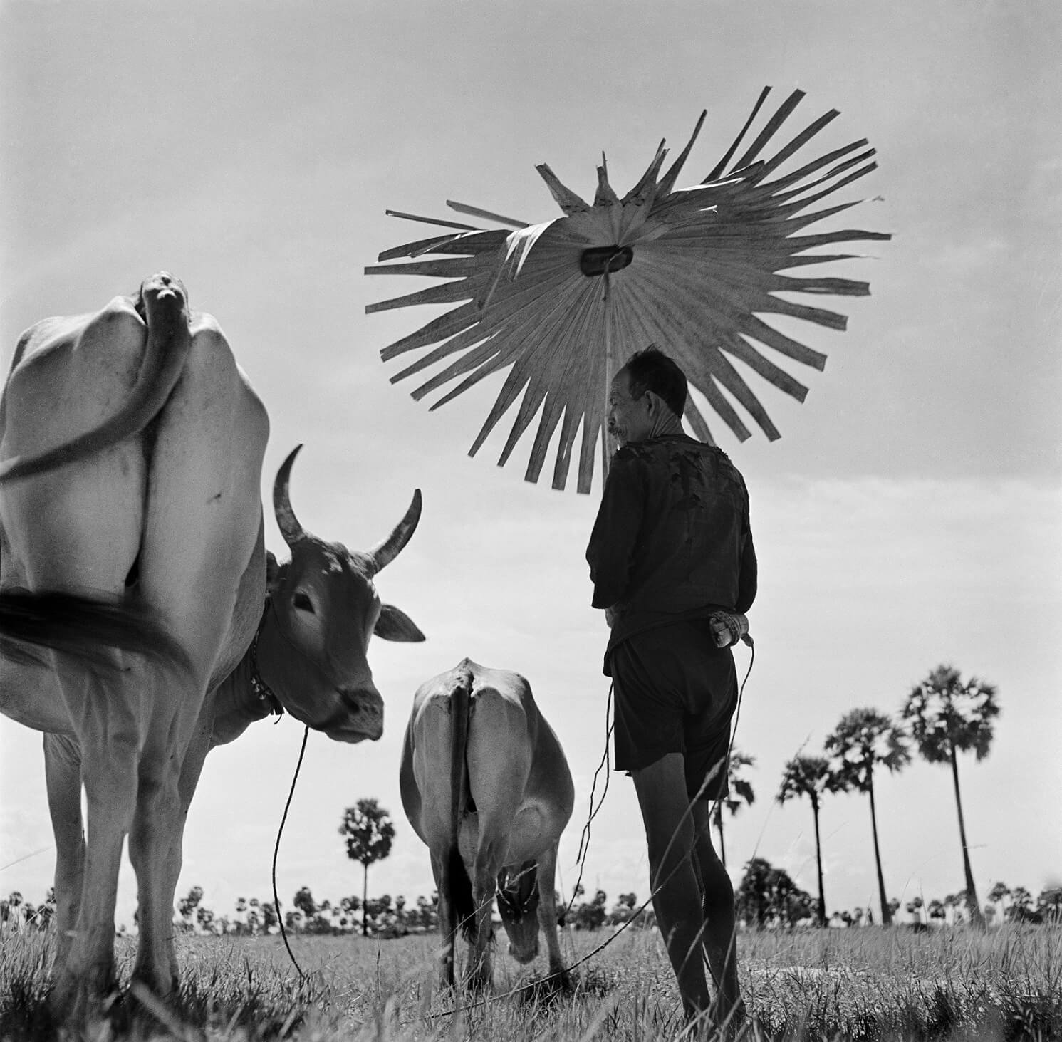 Werner Bischof: Photographs 1934 – 1954 | My Art Guides