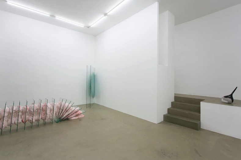 Vera Kox, Fit Frame to Content, 2016,
installation view. Courtesy RIBOT gallery.