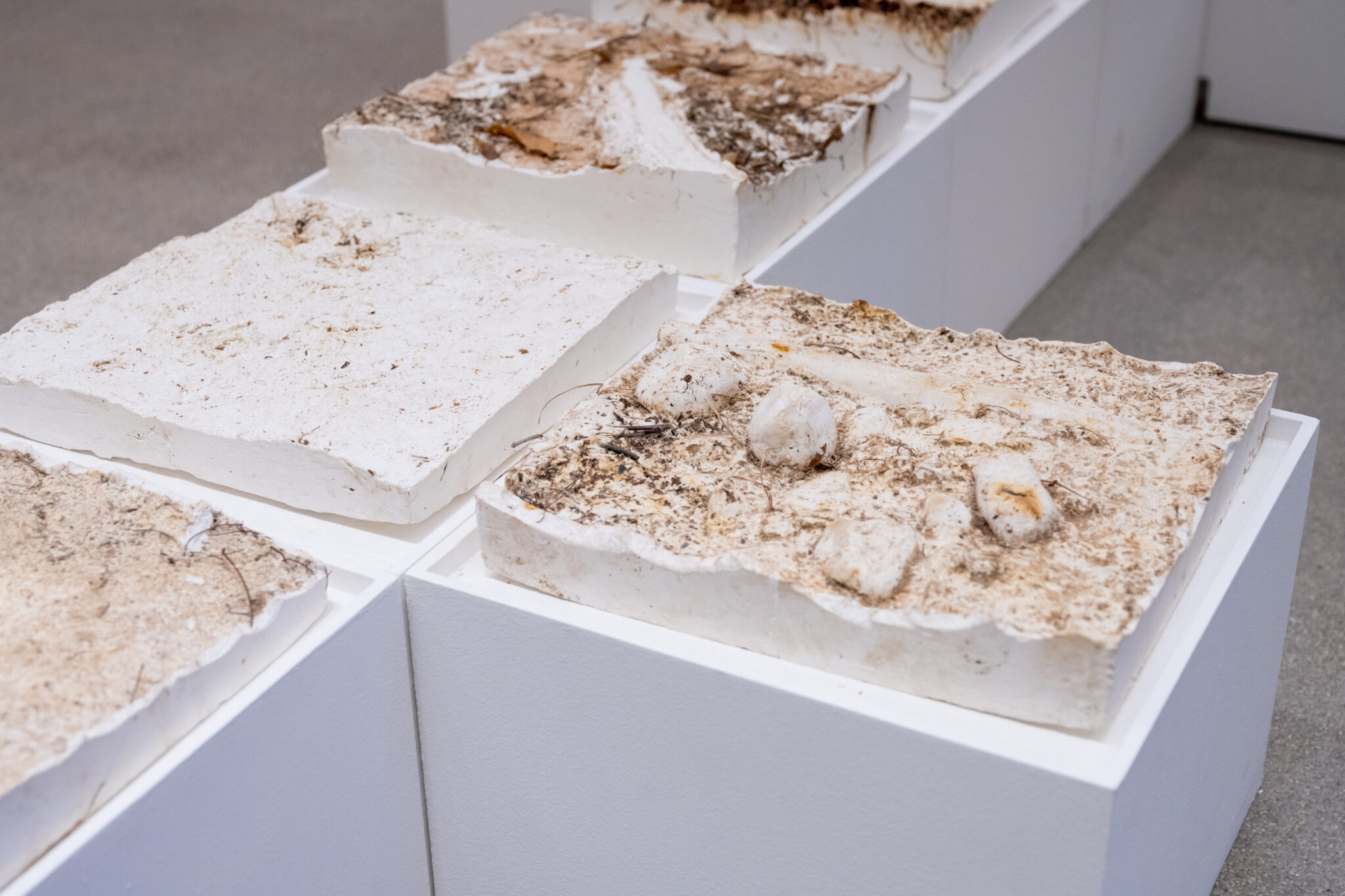 Dirwaza Curatorial Lab – My Art Guides