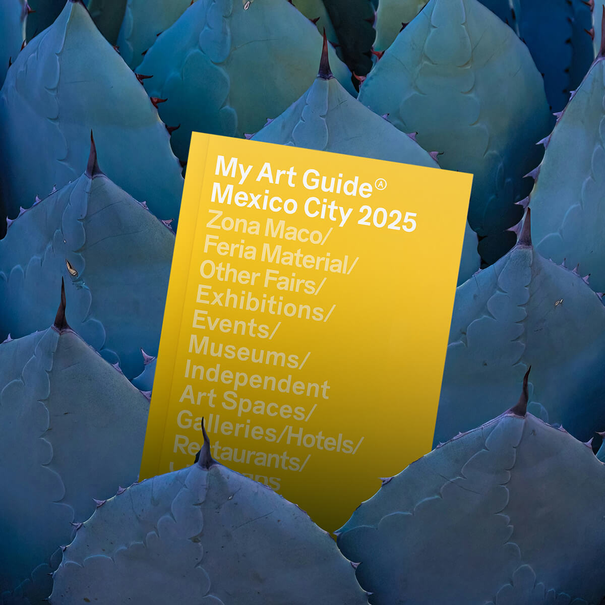 My Art Guide Mexico City 2025 | My Art Guides